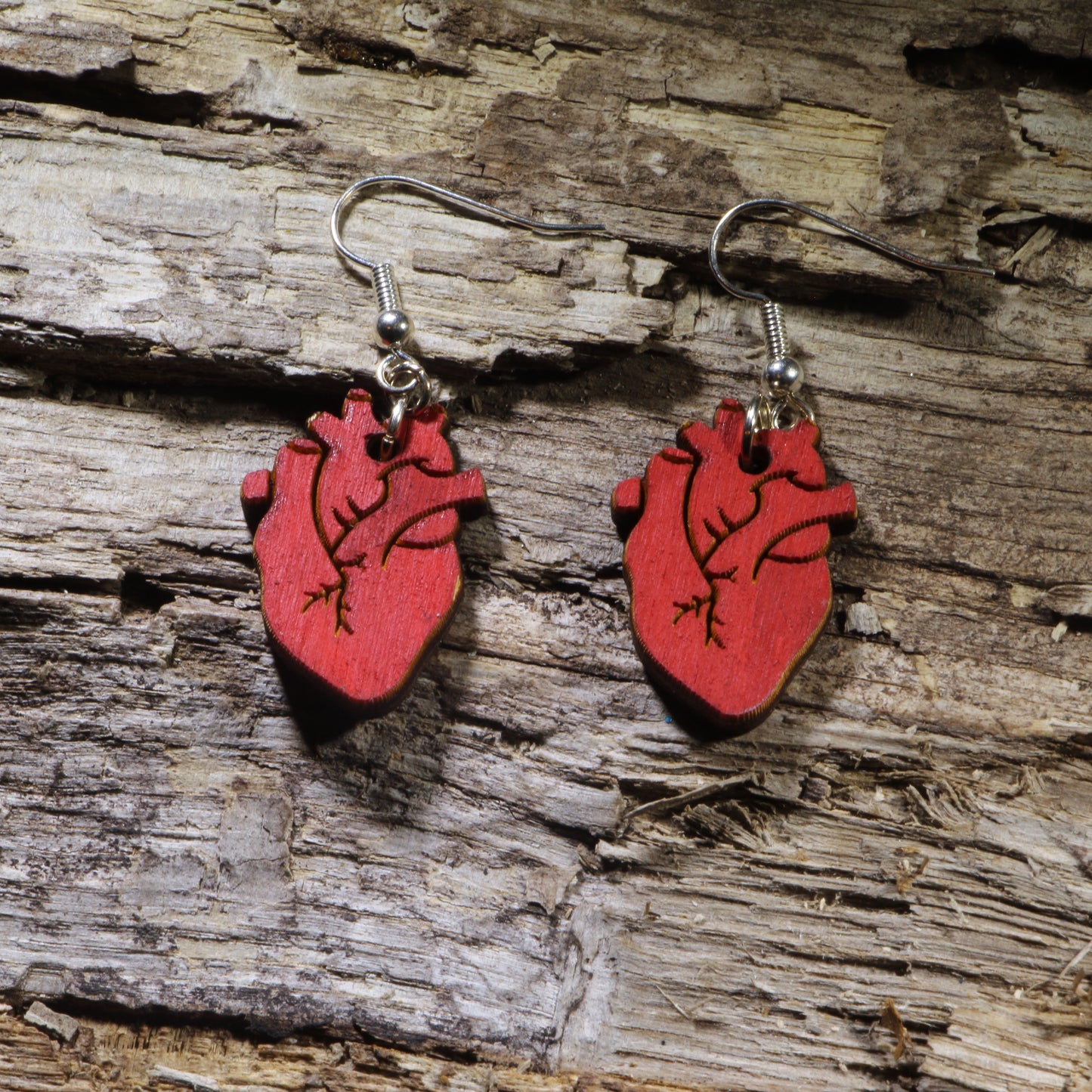 Hand-painted anatomical heart wooden dangle earrings on hypoallergenic .925 sterling silver hooks. Lightweight medical anatomy jewelry for doctors, nurses, medical students, anatomy teachers, and science enthusiasts.