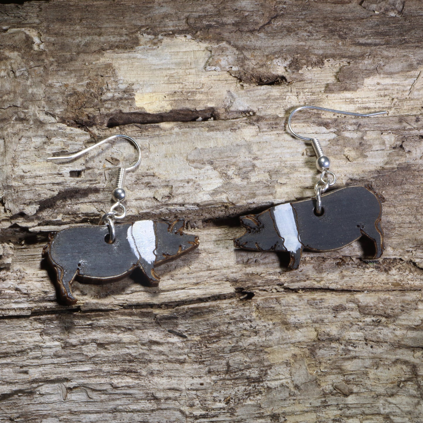 Handmade Hampshire pig wooden dangle earrings featuring detailed laser-cut black Hampshire pigs with signature white shoulder belt markings. Lightweight farm animal earrings crafted from wood with hypoallergenic .925 sterling silver hooks, perfect for pig lovers, farmers, livestock enthusiasts, 4-H and FFA members, homesteaders, and country lifestyle jewelry collectors.